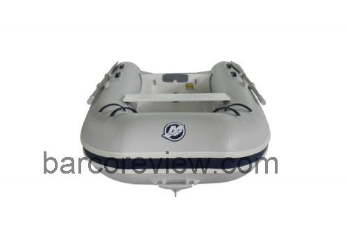 Mercury 290 RIB opinión y ficha técnica